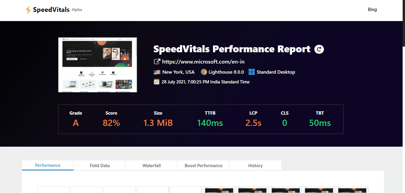 SpeedVitals Report